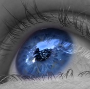 blue_eye.jpg