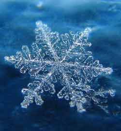 snow_flake